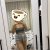 Ateşli Hatun Antalya Escort Kadın Tuğçe - Image 1